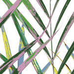 Obkladové panely do interiéru Vilo - Motivo PD330 Fun - Jungle /0,33 x 2,65 m DOPRODEJ
