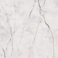 Obkladové panely do interiéru Vilo - Motivo PD250 Classic - Gold Marble /0,25 x 2,65 m