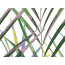 Obkladové panely do interiéru Vilo - Motivo PD330 Fun - Jungle /0,33 x 2,65 m DOPRODEJ