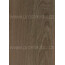 Plastové palubky Prostavbu Profi Decor P550 /10 cm/ - 3004 fólie WOODEC Turner Oak Toffee