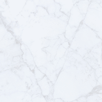 Obkladové panely do interiéru Vilo - Motivo PD250 Classic - Carrara Marble