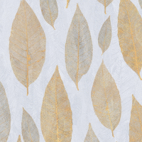 Obkladové panely do interiéru Vilo - Motivo PD250 Modern - Gold Magnolia /0,25 x 2,65 m