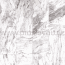 Zobrazit detail - Obkladové panely do interiéru Vilo - Motivo PD250 Classic - Winter Marble Obkladové panely do interiéru Vilo - Motivo PD250 Classic - Winter Marble